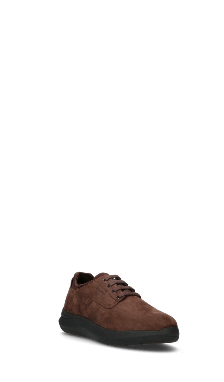 STONEFLY Sneaker uomo marrone in pelle