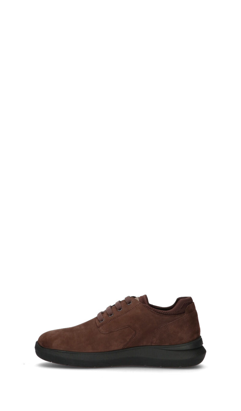 STONEFLY Sneaker uomo marrone in pelle