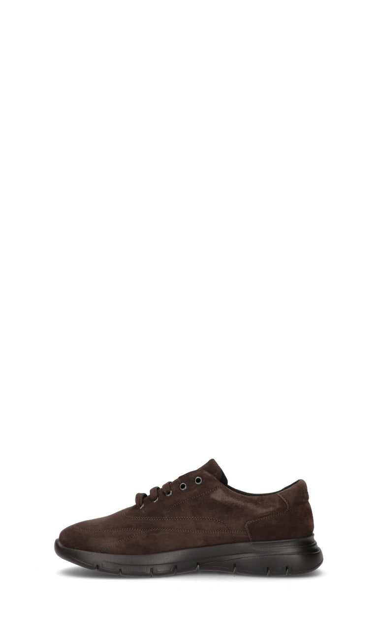 FRAU Sneaker uomo marrone in suede