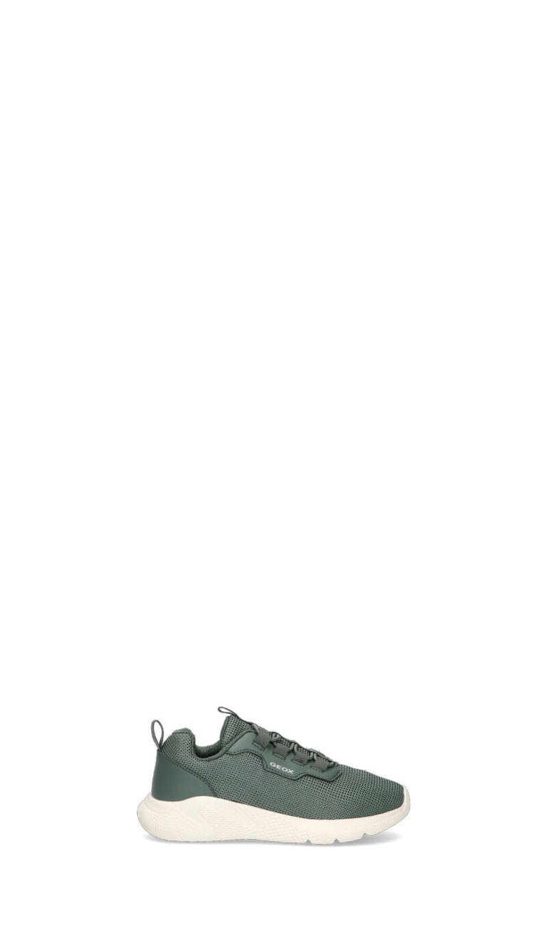 GEOX Sneaker bimbo verde